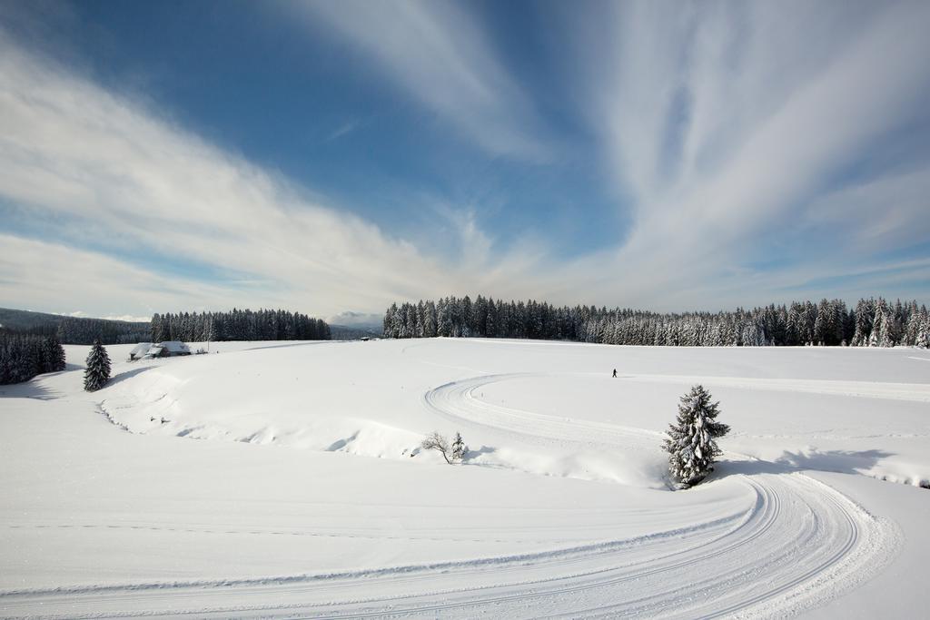 Gasthaus Zum Hirschen Furtwangen Kültér fotó